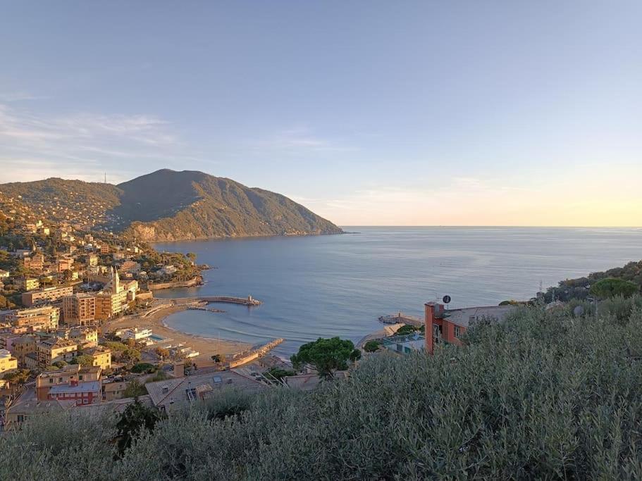 A Dream Codice Citra 010047-Lt-0161 Διαμέρισμα Recco Εξωτερικό φωτογραφία